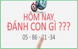 Hôm nay đánh lô gì dễ ăn, dễ trúng